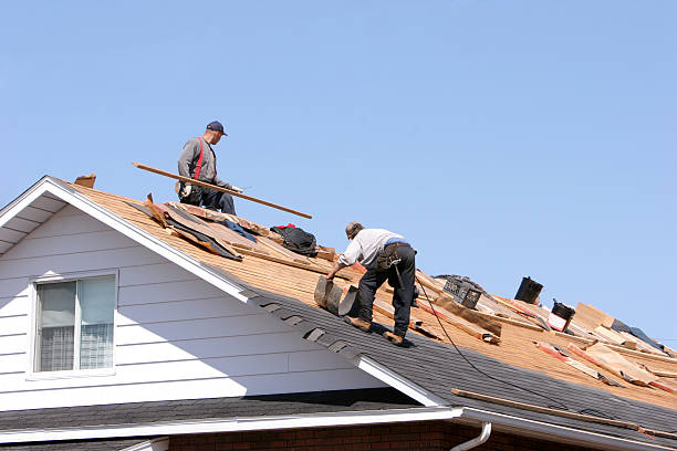 Best Metal Roofing Installation  in Ferguson, MO
