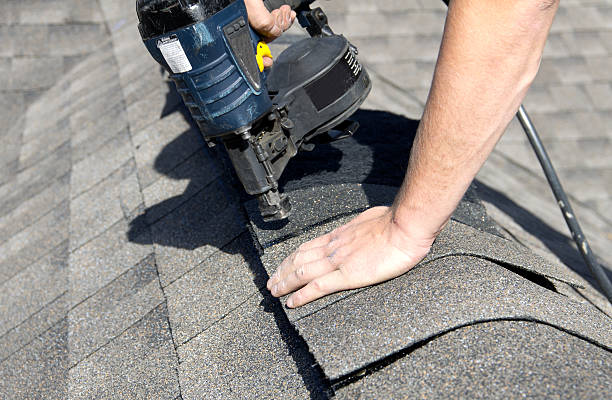 Best Roof Insulation Installation  in Ferguson, MO