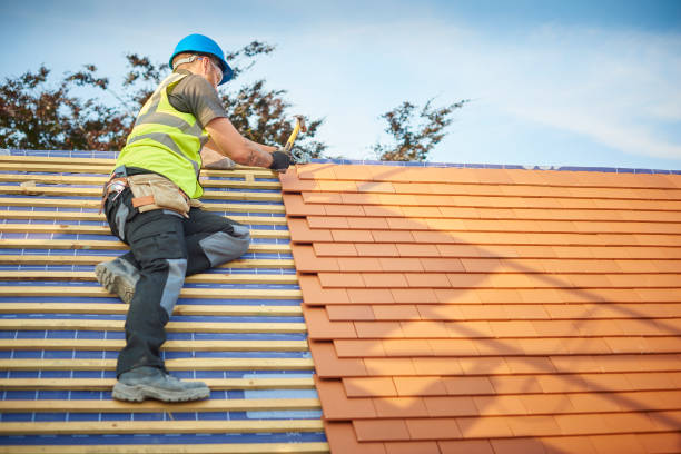 Ferguson, MO  Roofing repair and installation Company